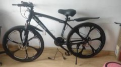 一时兴起新买的山地自行车 骑了二里路 便宜卖